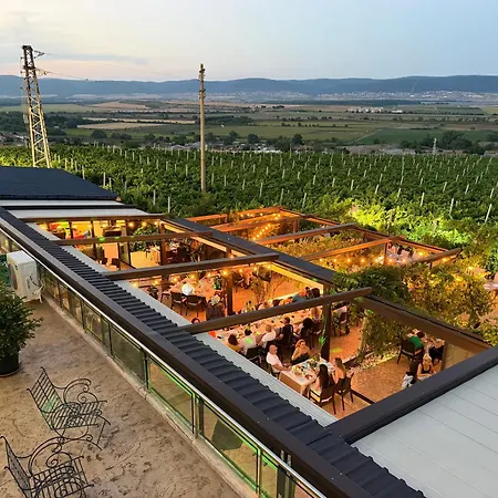 Royal Grapes Park ゲストハウス *