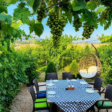 ゲストハウス Royal Grapes Park *